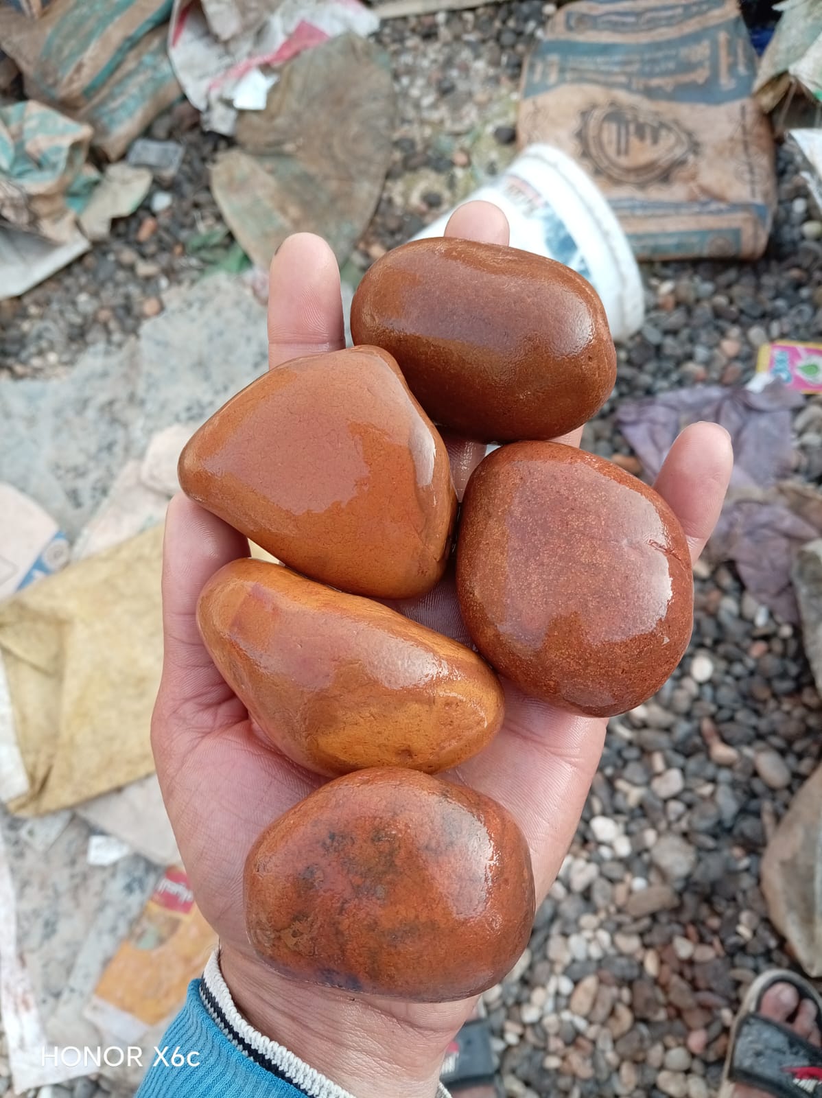 زلط أسيوطي Habib Asyuti Zalat