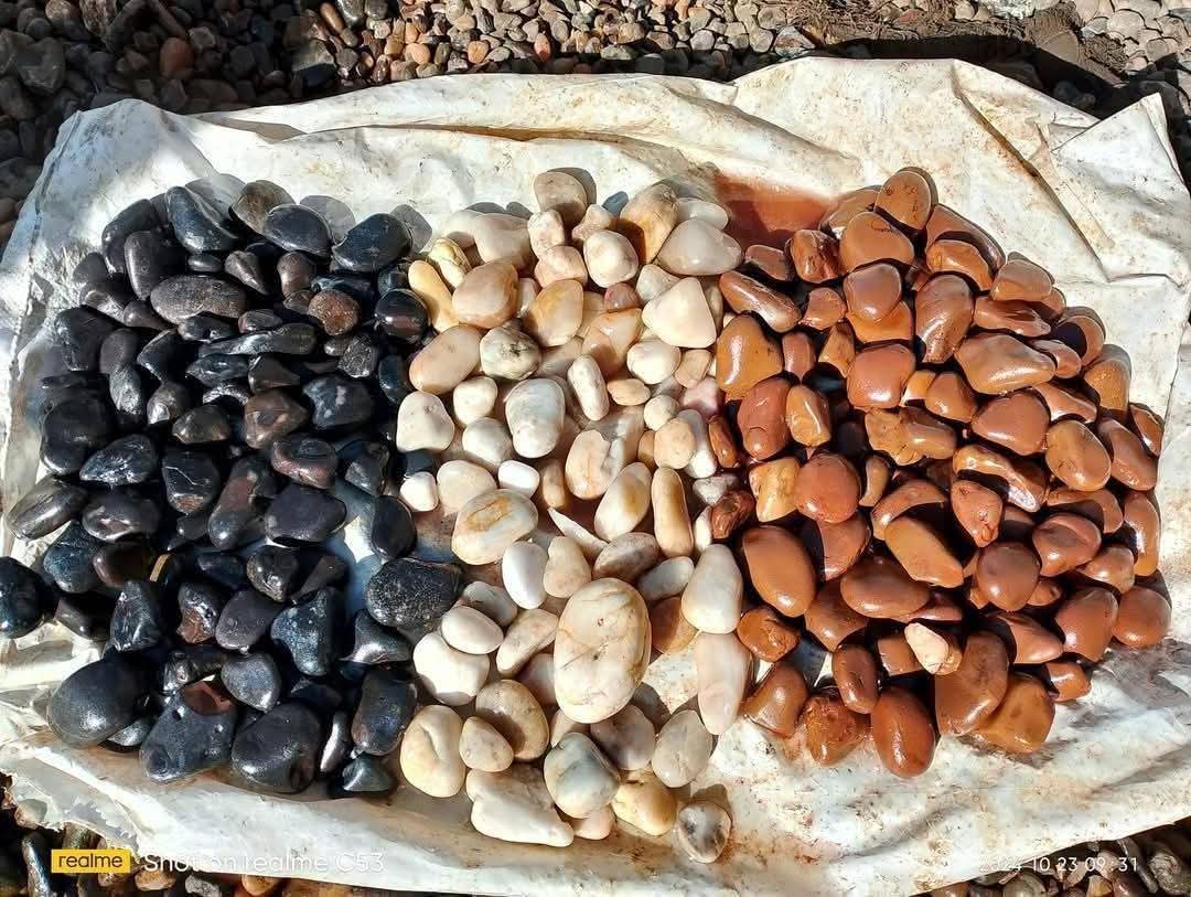 زلط ميكس ألوان Habib Mix Colors Zalat