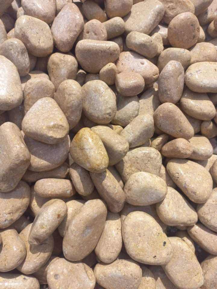 زلط رخام أبيض Habib White Marble V1